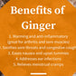 D Moss (Ginger)